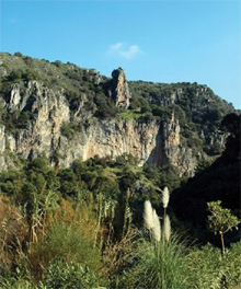 Espacios naturales de Benahavís